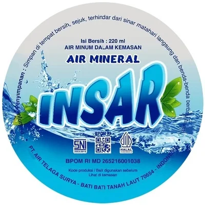 16d41b44-fa3d-4c8a-bbe5-dfcfe1e2d6f2_insar---Copy-page-0001
